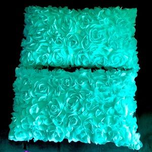 BNWOT Set of 2 Chiffon Rose Flower Throw Pillows